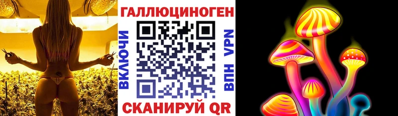 Галлюциногенные грибы GOLDEN TEACHER  Буйнакск 